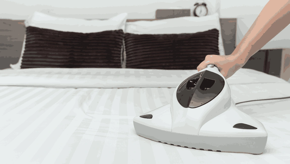 Professional Mattress Cleaning Glenferrie